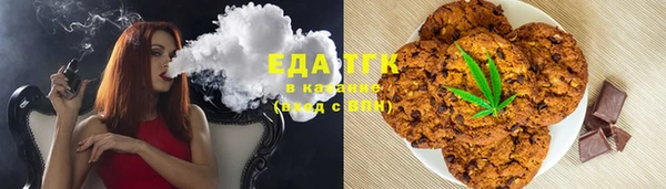 молекула духа Богородицк