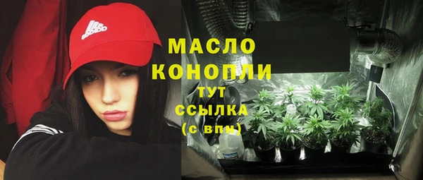молекула духа Богородицк