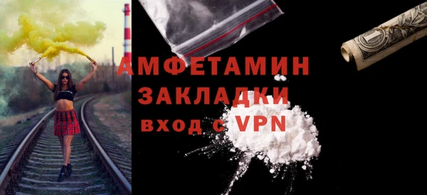 молекула духа Богородицк