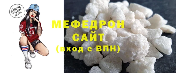 молекула духа Богородицк