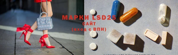 молекула духа Богородицк