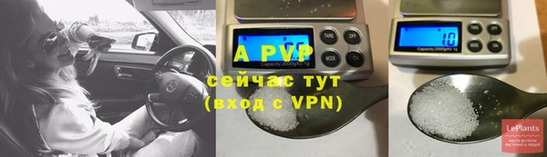 молекула духа Богородицк