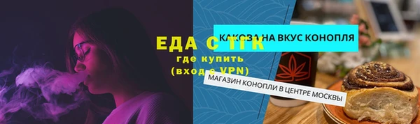 молекула духа Богородицк