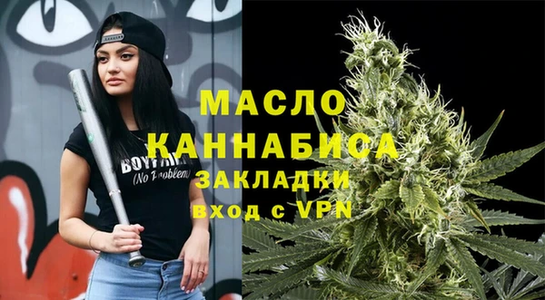 молекула духа Богородицк