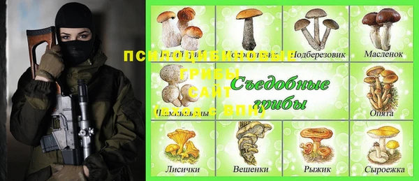 молекула духа Богородицк